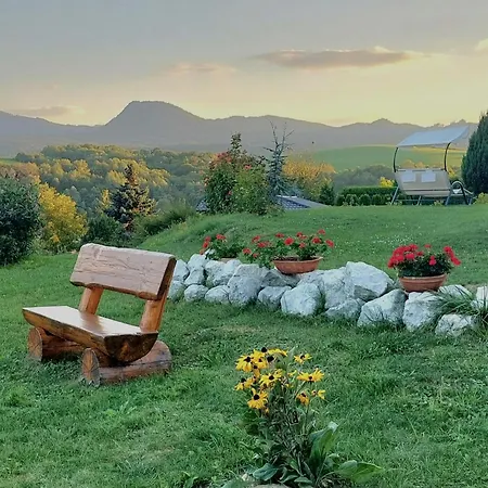 Panorama View *