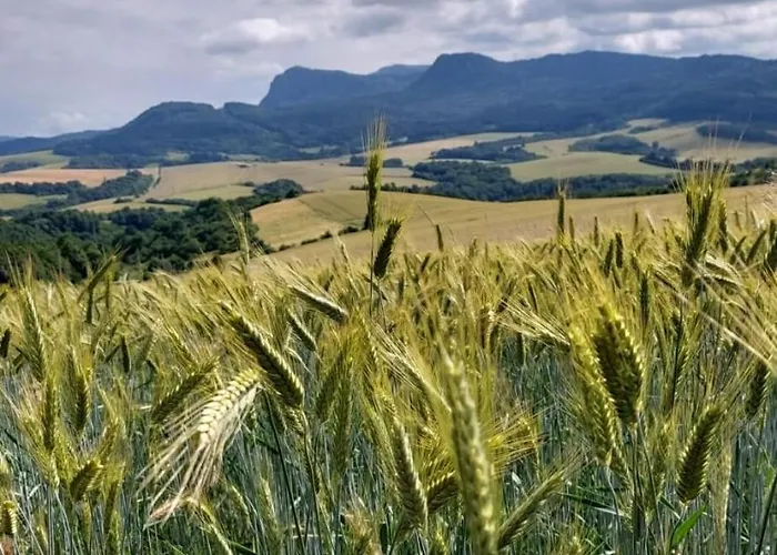 Апартаменты Panorama View Jalovec (Trencin)