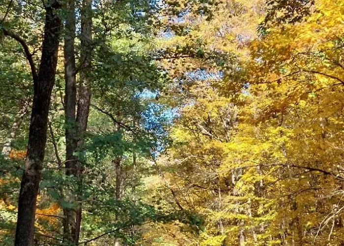 Апартаменты Panorama View *